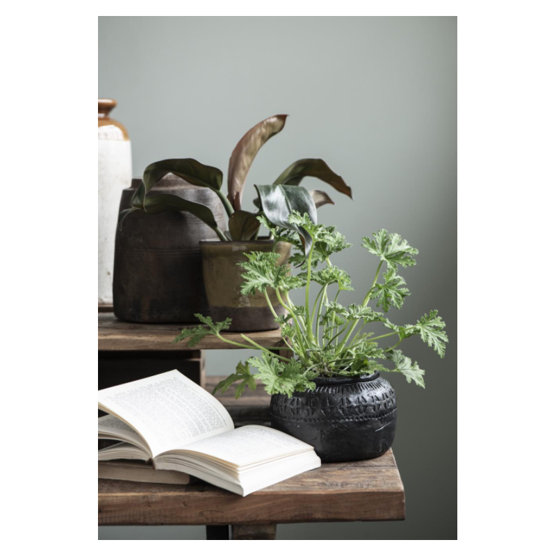 Pots pour plantes, cache-pots: carnet d'inspirations