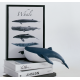 SERRE LIVRES BALEINE - ZUNY