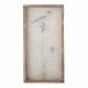 ILLUSTRATION OISEAU SUR VERRE - BLOOMINGVILLE