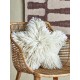 COUSSIN STAR -  BLOOMINGVILLE