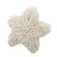 COUSSIN STAR -  BLOOMINGVILLE