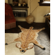 TAPIS ANIMAUX - DOING GOODS